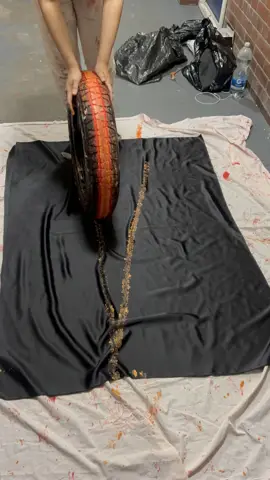 Painted tyre rolling across black fabric